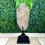 Rutilated Smoky Quartz with Stand Display Piece from Amezoni Crystals, front view