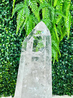 Lemurian Quartz Point with Stand shown for scale and natural variation