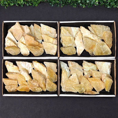 Golden Mica Slices Arrows from Amezoni Crystals, front view