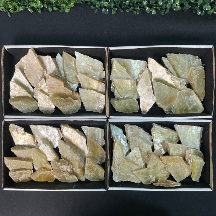 GOLDEN MICA SLICES ARROWS WHOLESALE - Amezoni Crystals Wholesale