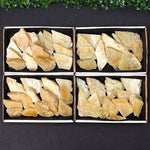 Golden Mica Slices Arrows from Amezoni Crystals, front view