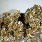 Golden Star Mica and Morganite 100% Natural - Collection Piece product image with natural crystal details