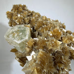 Close-up of Golden Star Mica and Morganite 100% Natural - Collection Piece with visible color and formation