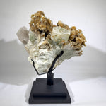 Golden Star Mica and Morganite 100% Natural - Collection Piece from Amezoni Crystals, front view