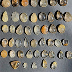 Rutile Quartz Cabochon - High Quality Rutilated Cabochons Lot from Amezoni Crystals, front view