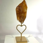 High Quality Golden Healer Free Form w/ Stand product video showing Shop High Quality Golden Healer Free Form with Stand from Amezoni in Brazil.