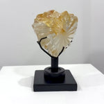 Golden Healer Faceted Heart With Stand product video showing Exact photos, natural variation details, and worldwide FedEx shipping.