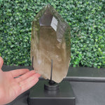 DT Smoky Quartz Celestial Semi Polished product video showing DT Smoky Quartz Celestial Semi Polished Display Piece in bulk from Amezoni Brazil.