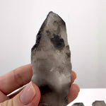 Raw Lemurian Black Phantom Points Lot product video showing crystal details, shape, color, and finish.