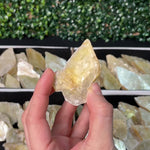 Golden Mica Slices Arrows product video showing Brazilian Golden Mica Slices Arrows wholesale.