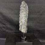 High Quality Faceted Lemurian With Stand