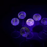 UV Reactive Brilliant W/ Stand product video showing Amethyst Display Piece - UV Reactive Brilliant with Stand in bulk from Amezoni Brazil.