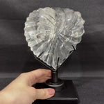Faceted Lemurian Heart w/ Stand product video showing Lemurian Quartz Heart - Faceted Lemurian Heart with Stand from Amezoni Brazil.