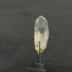 Lemurian Manifestation With Stand