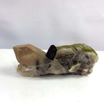 Collection - Tourmaline Attached to Quartz With Golden Mica