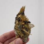 Collection Pieces Golden Rutile Novo Horizonte Lot product video showing crystal details, shape, color, and finish.