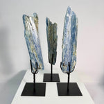Close-up of Raw kyanite With Stand Raw Crystal with visible color and formation