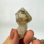 Smoky Quartz Scepter 100% Natural Raw Crystal product image with natural crystal details